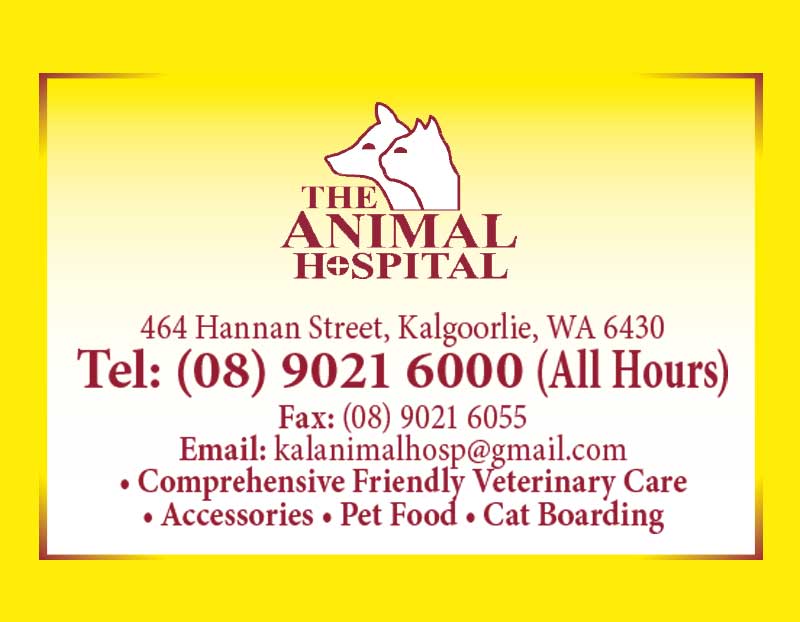 An Established & Trusted Kalgoorlie Pet Clinic Service Centre